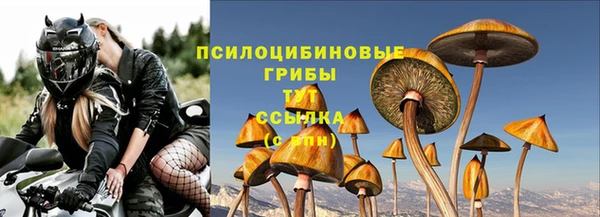 амф Алексин